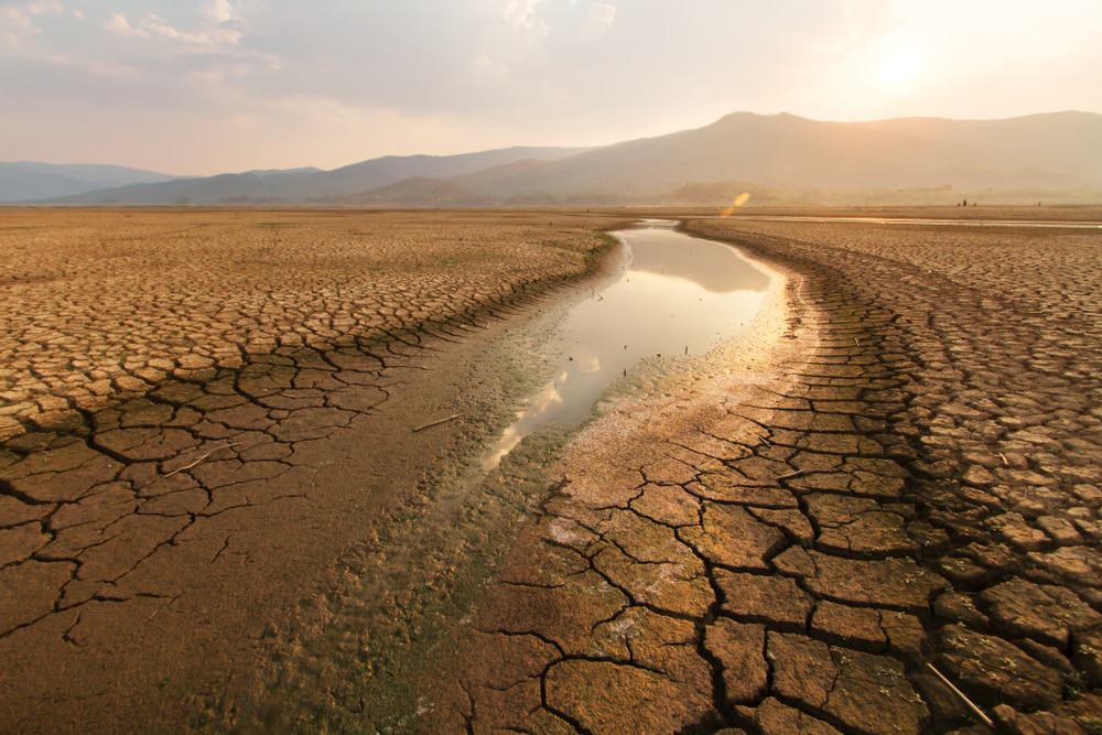 Norte e Nordeste vivem pior seca dos últimos 40 anos