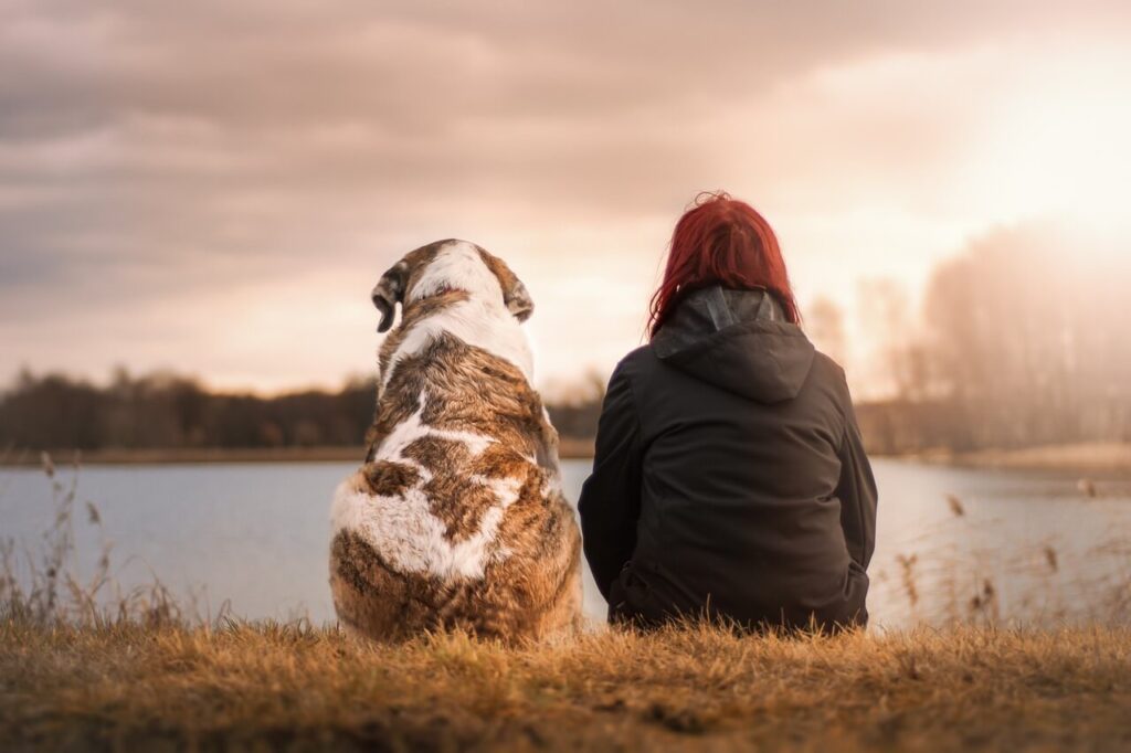 Verminoses podem ser letais para os pets