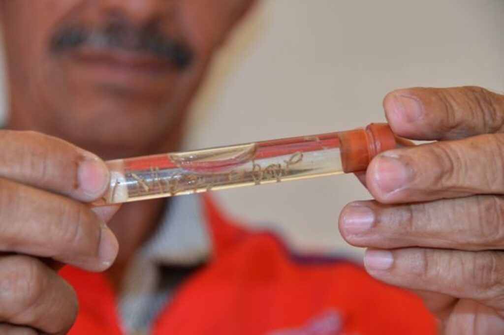 Sesau volta a alertar alagoanos sobre medidas de prevenção contra a dengue