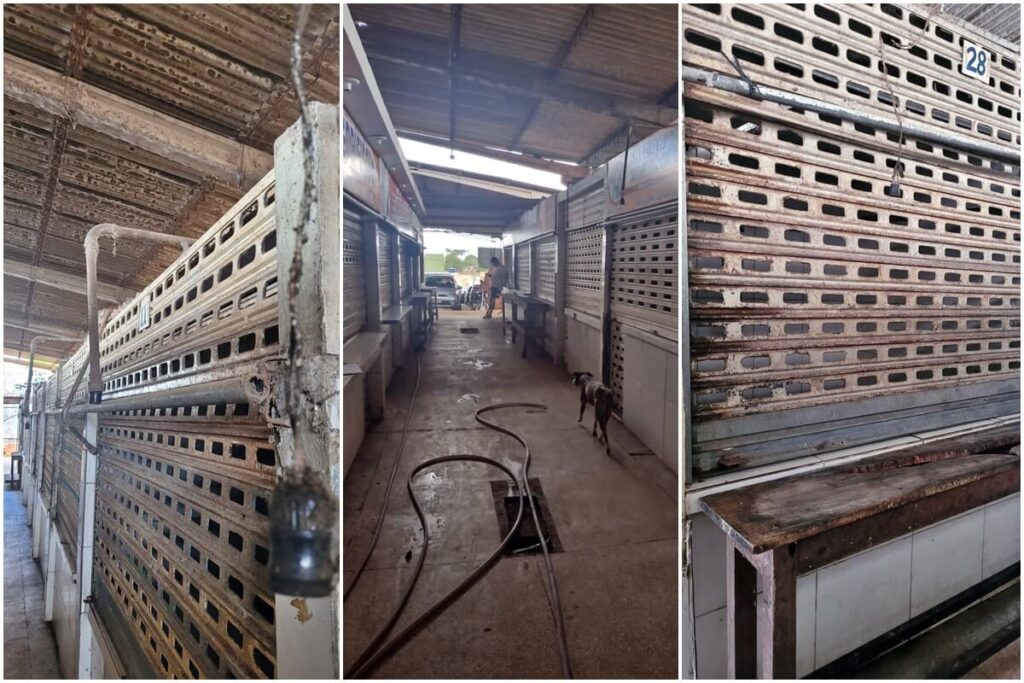 MP constata várias irregularidades no Mercado Público de Palmeira dos Índios