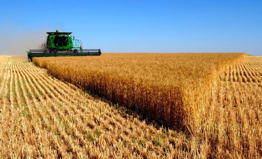 IBGE prevê safra de 300 milhões de toneladas para 2024