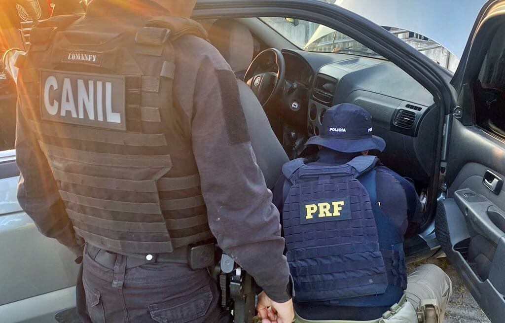PRF e Canil do 3º BPM prende homem por receptação e adulteração de veículo em São Sebastião