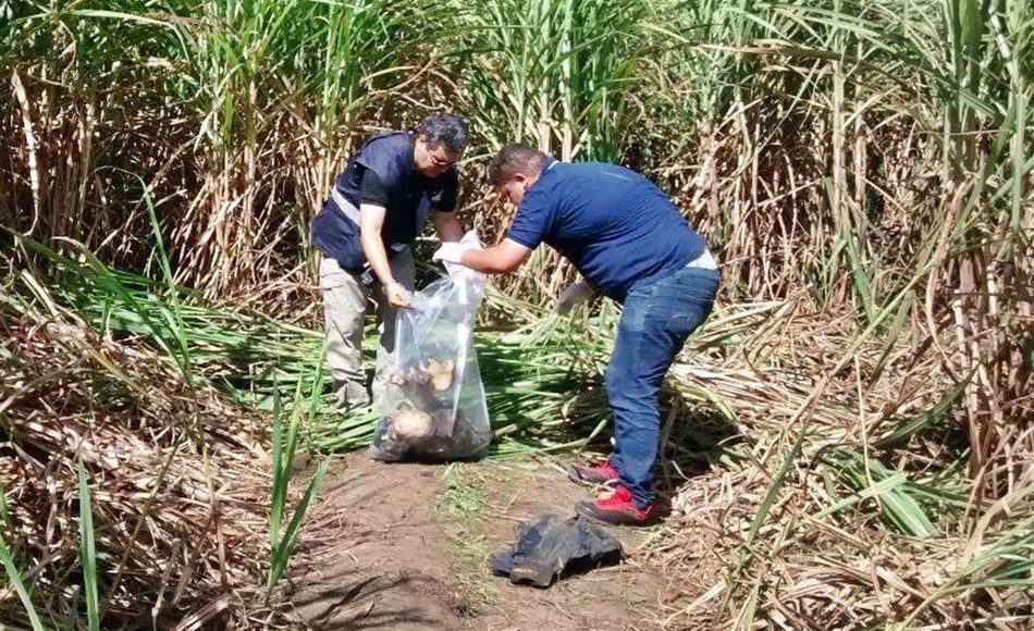 Polícia investiga achado de três ossadas humanas em Maceió