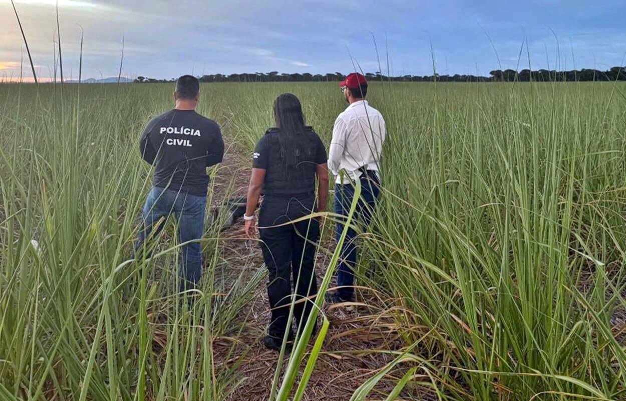 Corpo de jovem desaparecida é encontrado em São Miguel dos Campos