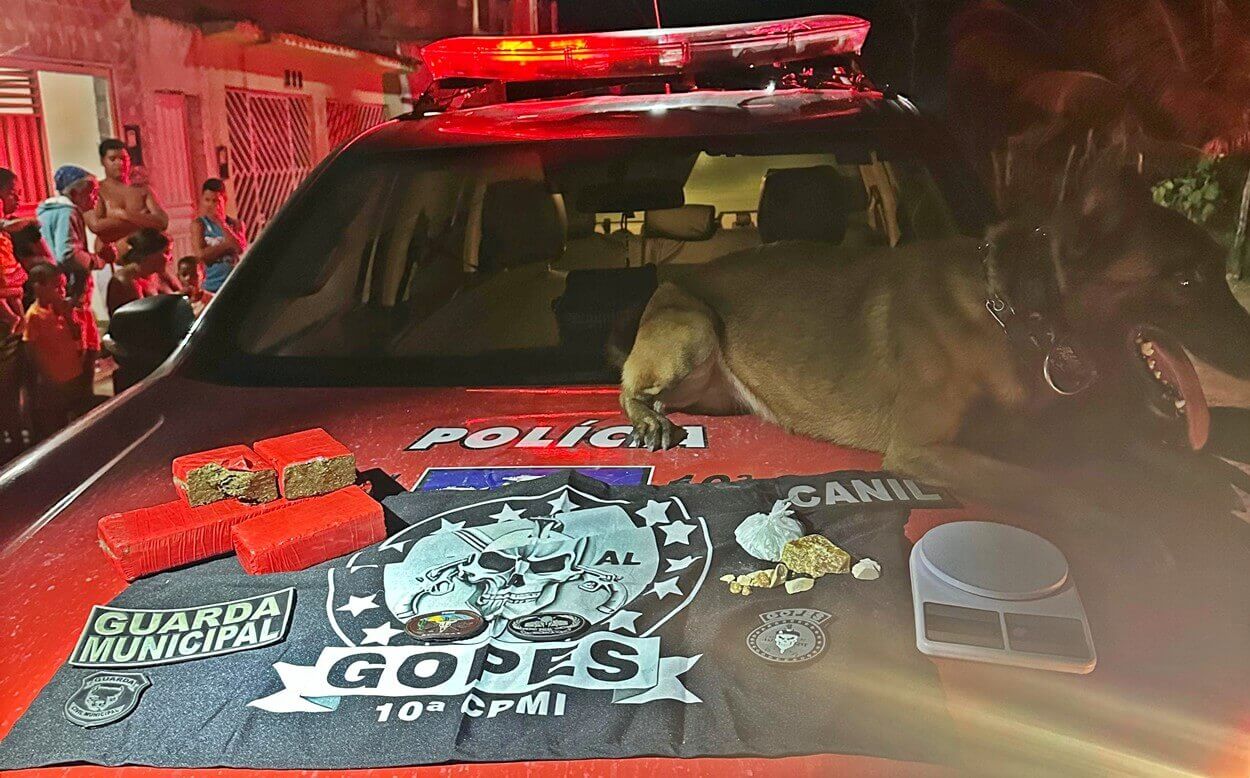 Chefe de facção criminosa de Teotônio Vilela é preso em Campo Alegre