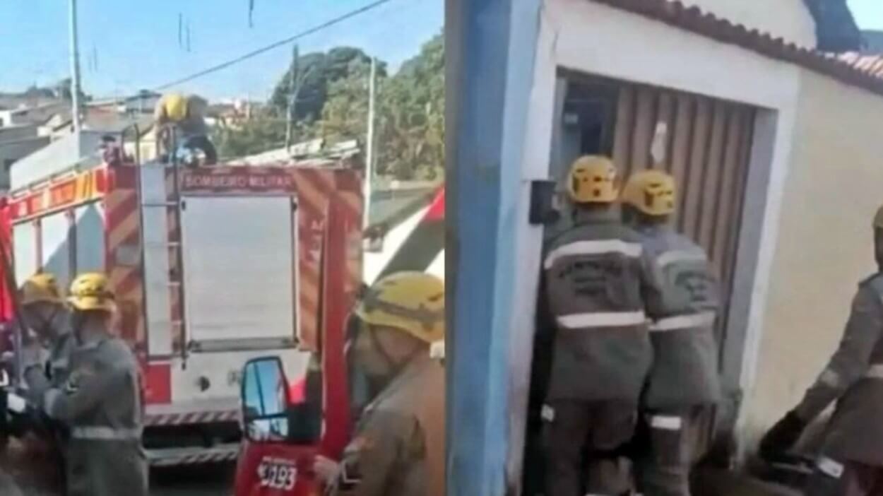 Mais uma pessoa morre após ser atacada por cão da raça pitbull