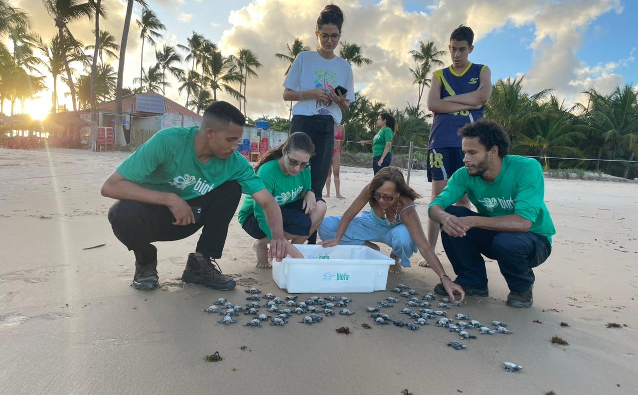 Biota realiza primeira soltura de tartarugas marinhas da temporada em Maceió