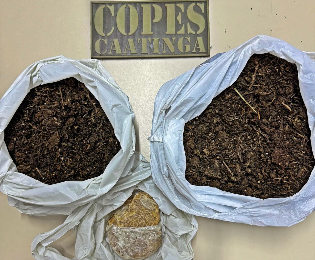 COPES apreende quase 2 kg de drogas durante ação em Olho d’Água das Flores