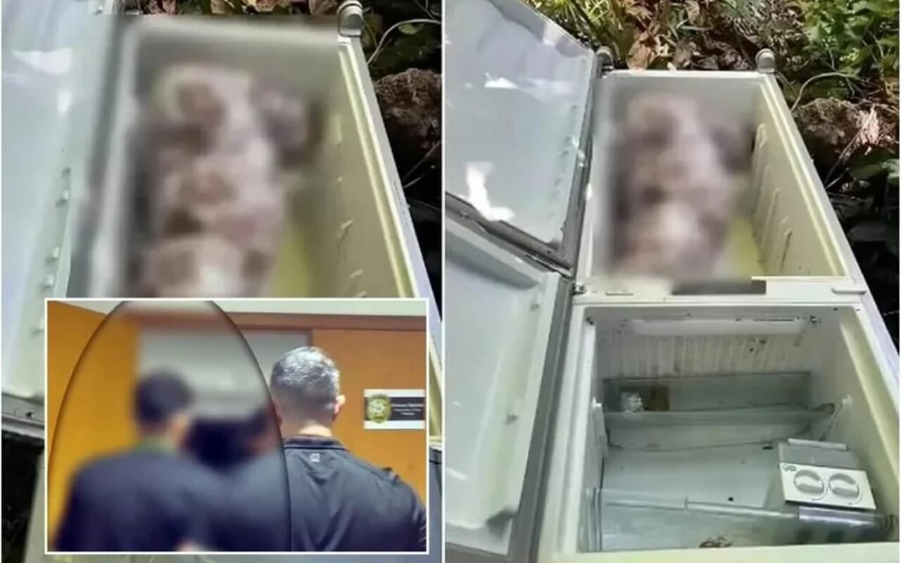Homem que matou a sogra e escondeu o corpo em geladeira é condenado