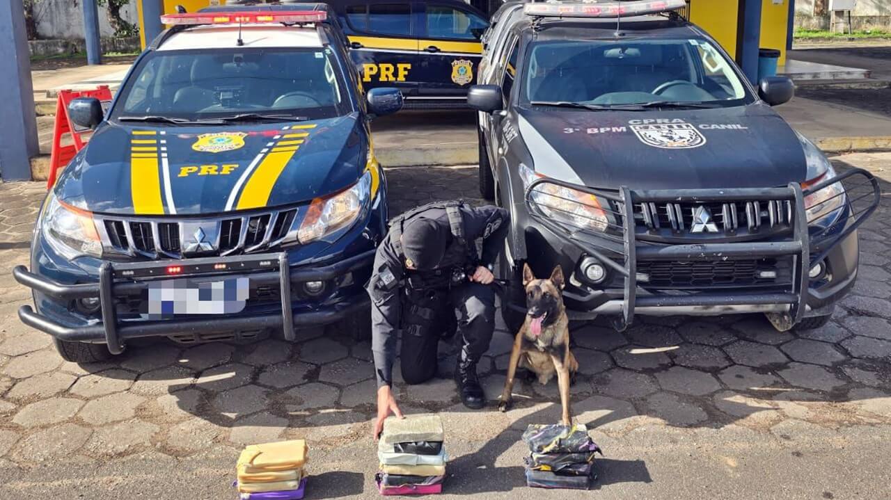 Mulher é presa transportando mais de 15 kg de maconha na BR 101 em Alagoas