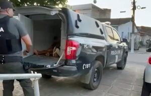 Mulher Segura: 6ª DRP prende homem que estuprava a cunhada de 7 anos em São Miguel dos Campos