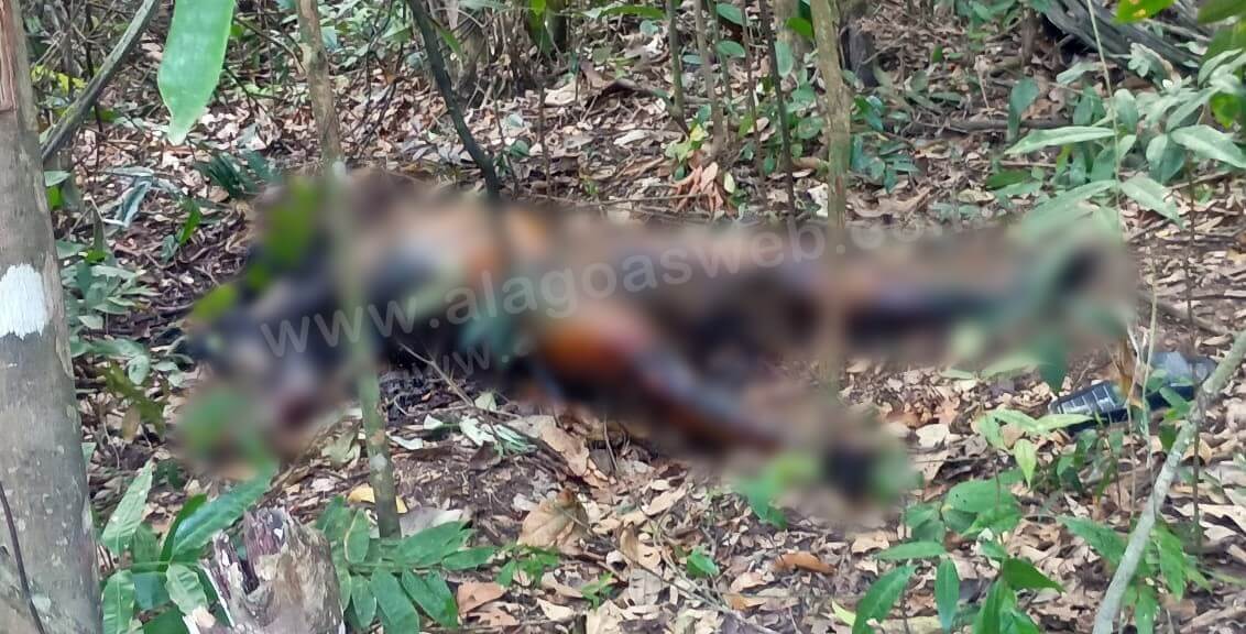 Cadáver em avançado estado de decomposição é encontrado na zona rural de Anadia