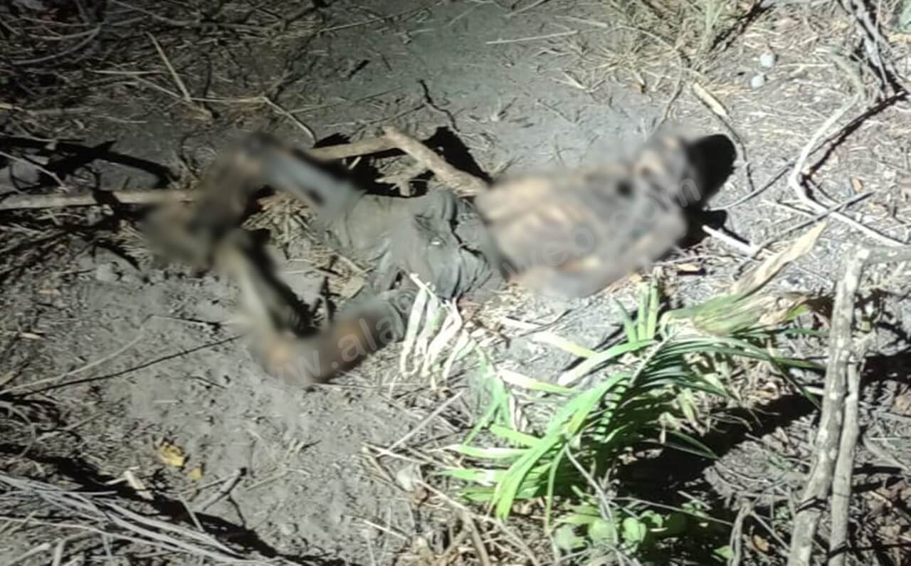 Corpo é encontrado em estado de decomposição em Rio Largo