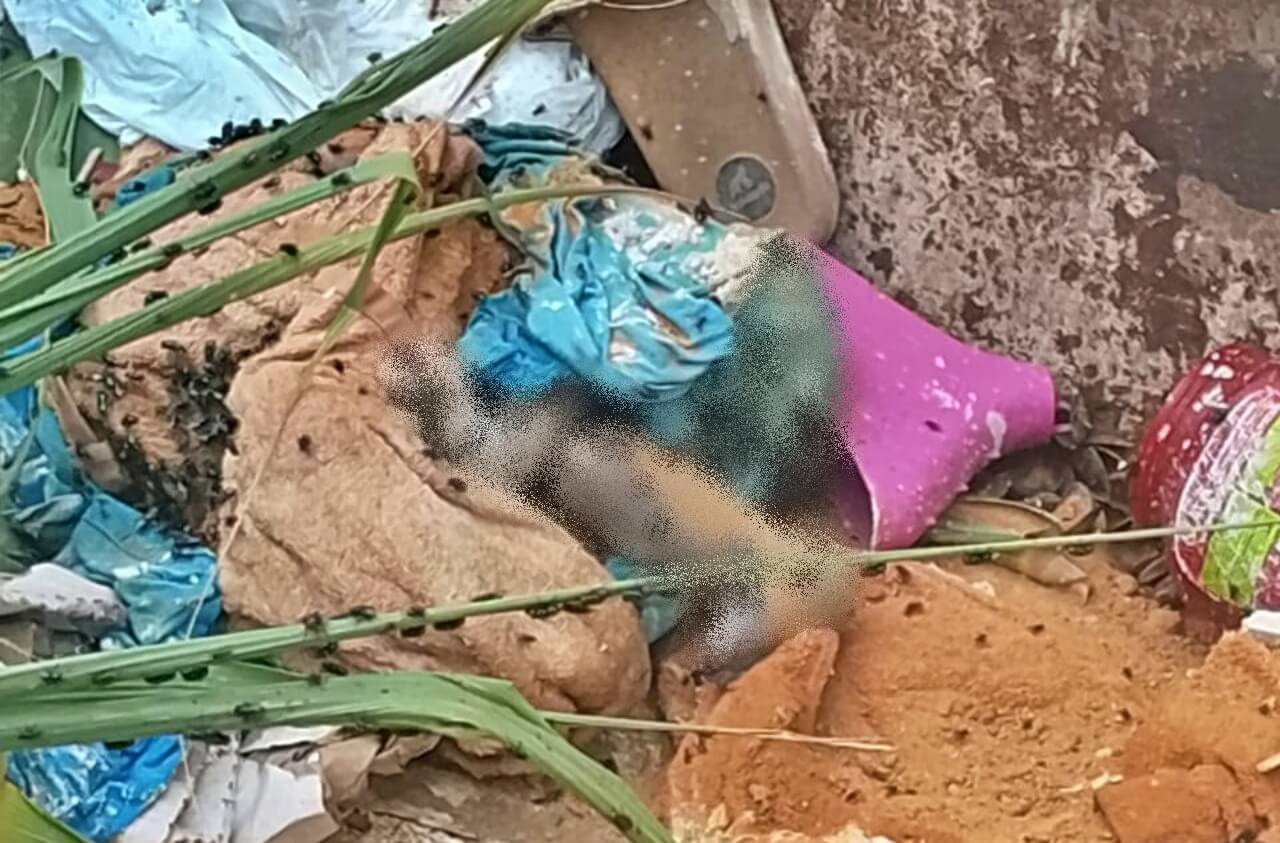 Feto é encontrado em lixeira pública no município de Roteiro