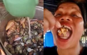 Influenciadora morre após comer ‘caranguejo-do-diabo’